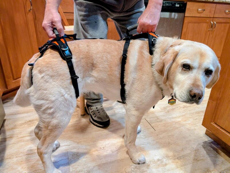 Help 'Em Up Harness with Hip Lift