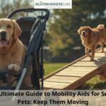 The Ultimate Guide to Mobility Aids for Senior Pets: Keep Them Moving