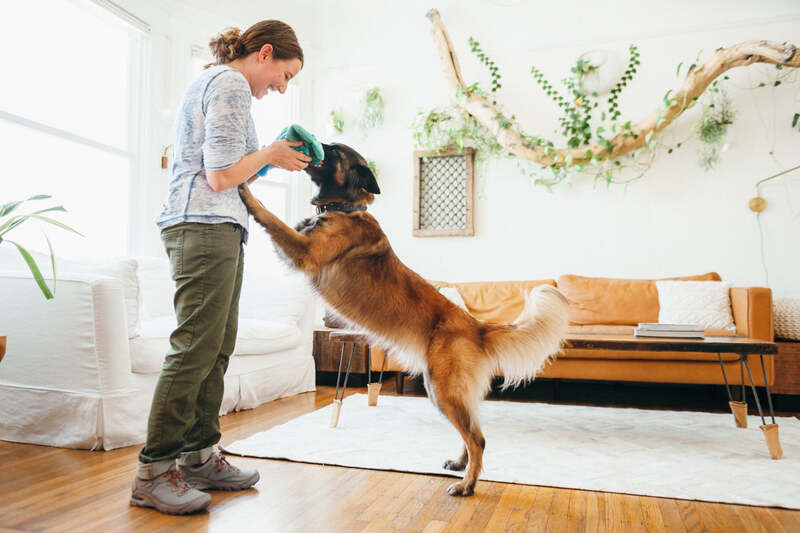 Modify Your Home Environment (Stop the Jumping!)