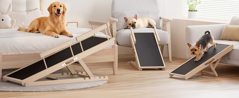 Pet Ramps: The Gold Standard for Aging Joints