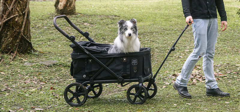 Pet Strollers and Wagons