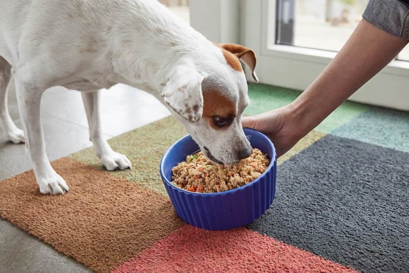 Shift the Dinner Time Earlier 