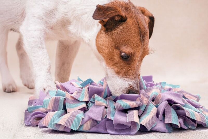  Snuffle Mats