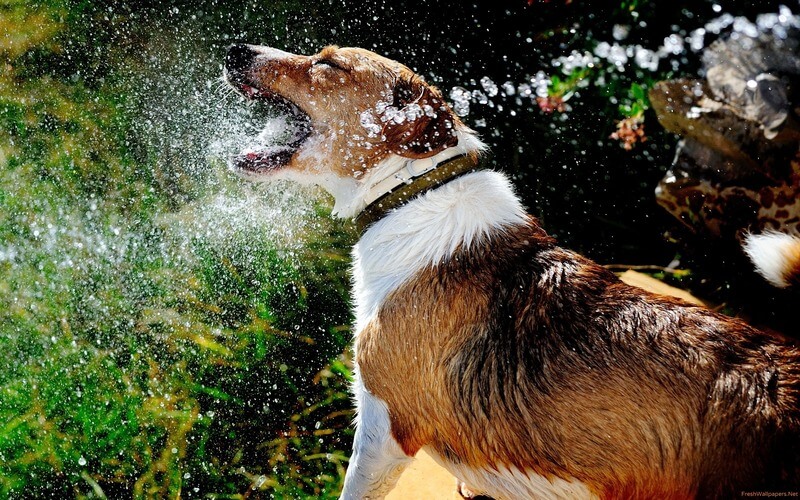 The Hidden Danger: Rapid Dehydration