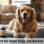 Best Joint Care for Older Dogs: Vet-Backed Guide & Aids