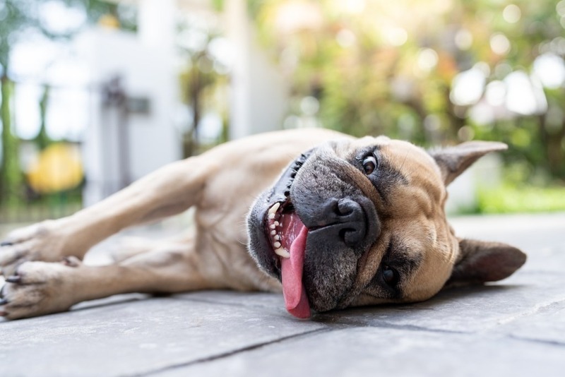Heat Exhaustion