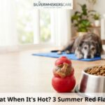 Dog Won’t Eat When It’s Hot? 3 Summer Red Flags to Watch